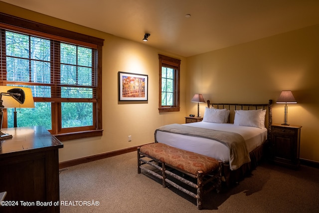 view of carpeted bedroom