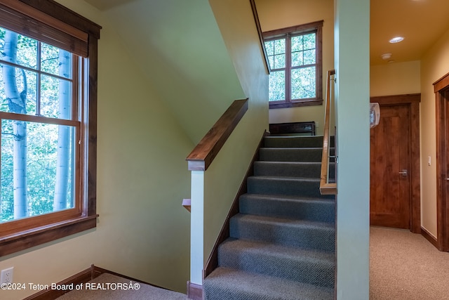 stairs featuring carpet floors