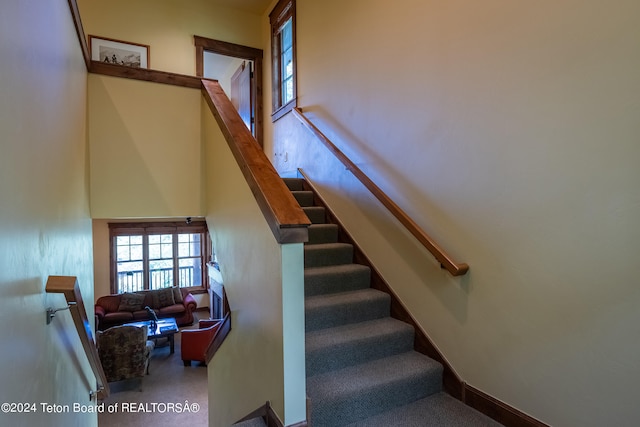 staircase featuring a high ceiling and carpet