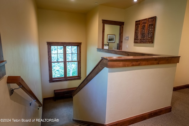 stairs featuring carpet flooring