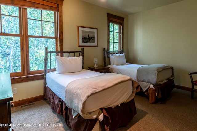 view of carpeted bedroom