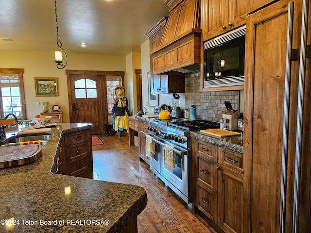 kitchen with built in appliances, sink, dark hardwood / wood-style flooring, and plenty of natural light