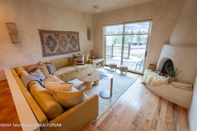 living room featuring light hardwood / wood-style flooring