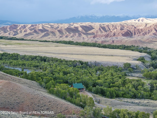 581 E Fork Rd, Dubois, WY 82513 - view of mountain background