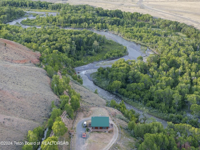 581 E Fork Rd, Dubois, WY 82513 - view of property location featuring a nearby body of water and a forest