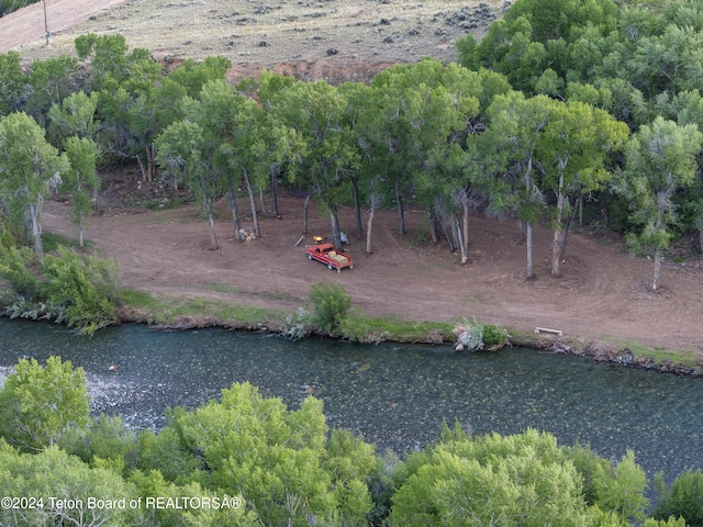 581 E Fork Rd, Dubois, WY 82513 - view of yard