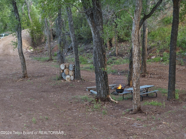 581 E Fork Rd, Dubois, WY 82513 - view of yard featuring an outdoor fire pit