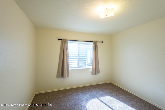 empty room featuring carpet flooring