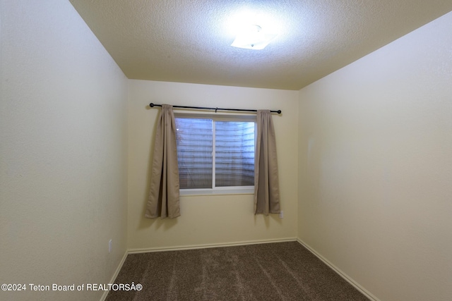 spare room with carpet and a textured ceiling