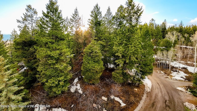 LOT77 Redwood Rd, Star Valley Ranch, WY 83127 - photo 5