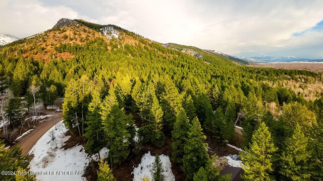 LOT77 Redwood Rd, Star Valley Ranch, WY 83127 - photo 4