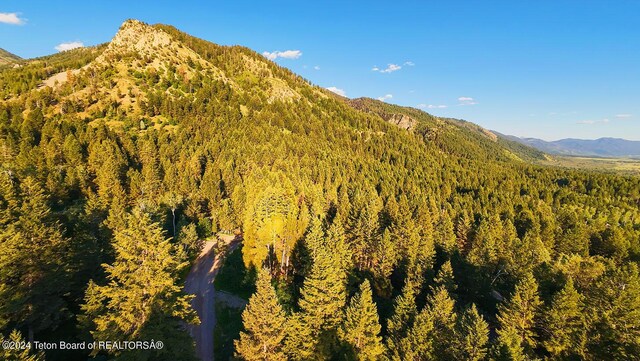LOT77 Redwood Rd, Star Valley Ranch, WY 83127 - photo 3