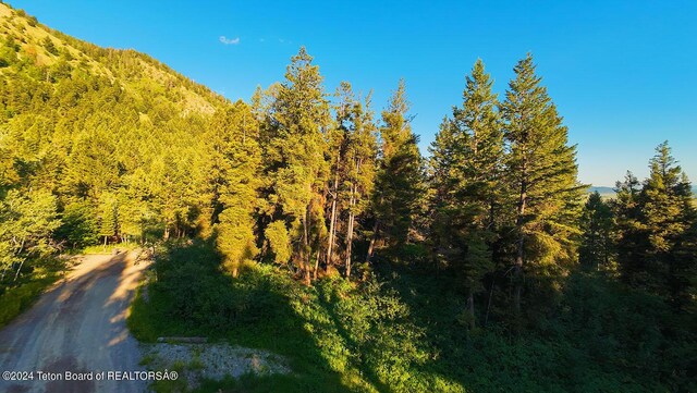 LOT77 Redwood Rd, Star Valley Ranch, WY 83127 - photo 7