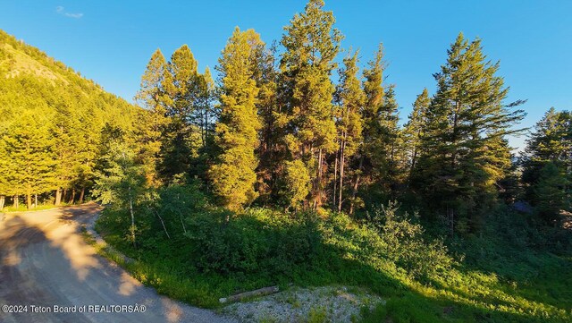 LOT77 Redwood Rd, Star Valley Ranch, WY 83127 - photo 8