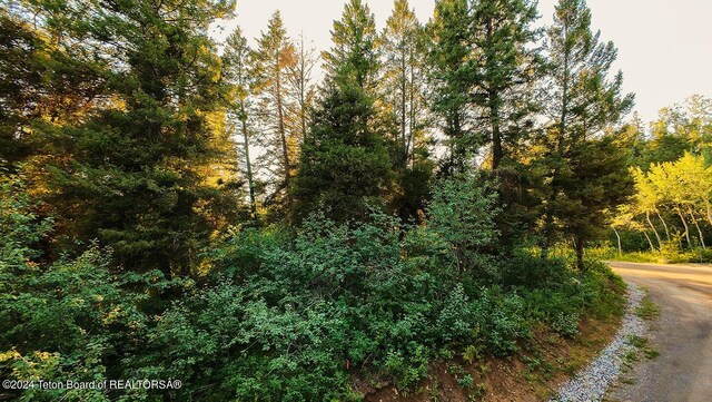 LOT77 Redwood Rd, Star Valley Ranch, WY 83127 - photo 6