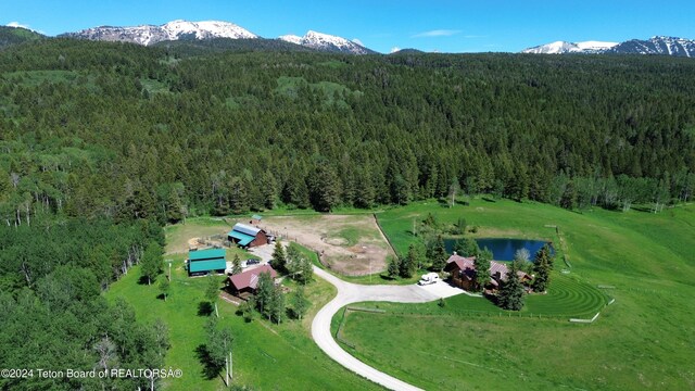 465 E Rigby Rd, Alta, WY 83414 - photo 65
