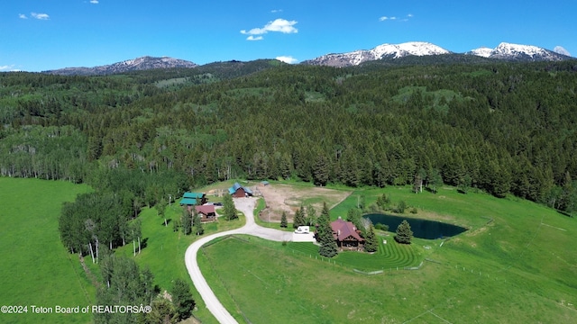 465 E Rigby Rd, Alta, WY 83414 - photo 67