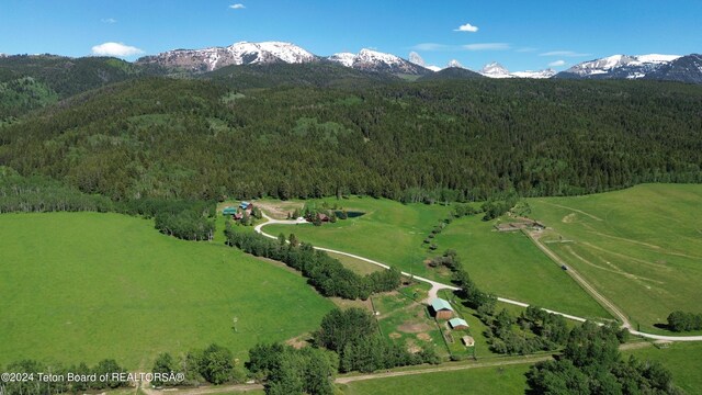 465 E Rigby Rd, Alta, WY 83414 - photo 71