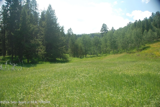 Listing photo 2 for 8355 S Fall Creek Rd, Wilson WY 83014