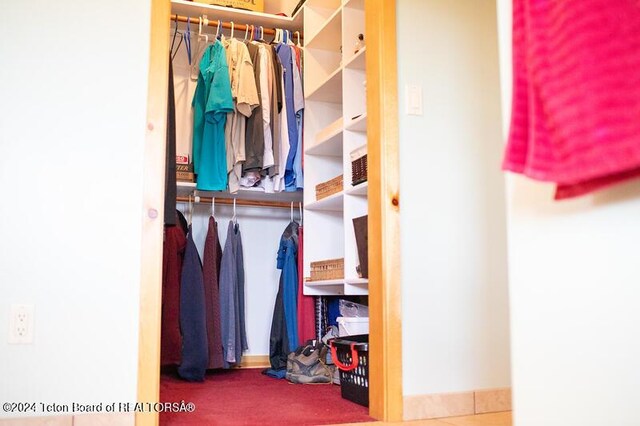 view of closet