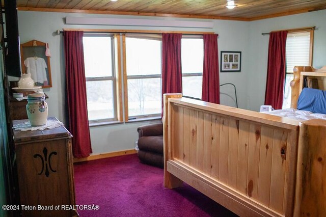 carpeted bedroom with wood ceiling and multiple windows