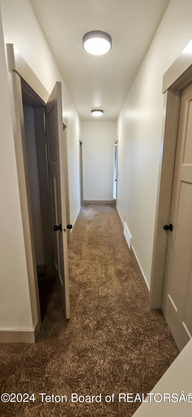 hallway featuring carpet