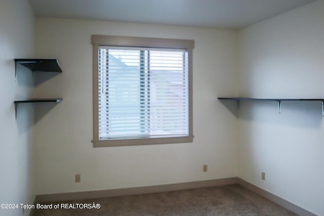 unfurnished room with carpet flooring and a wealth of natural light