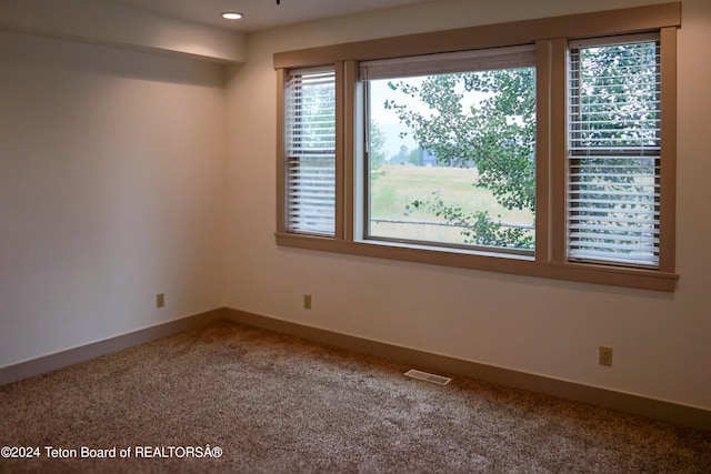 carpeted spare room with a wealth of natural light