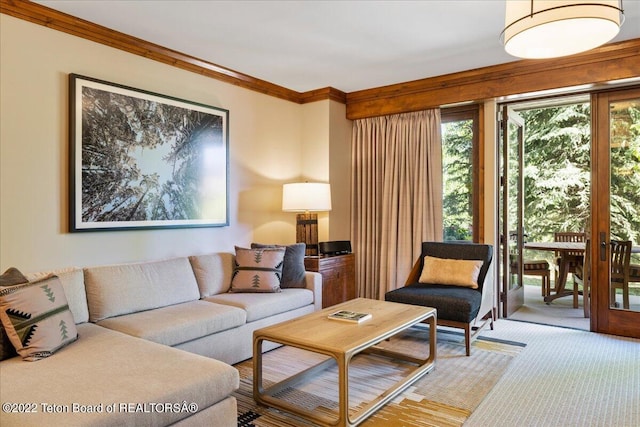 carpeted living room featuring ornamental molding