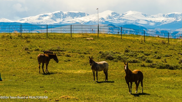 property view of mountains with a rural view