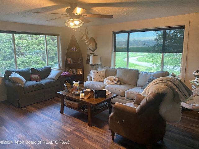 living room with dark wood-type flooring, a textured ceiling, and ceiling fan