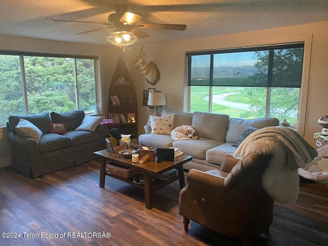 living room featuring ceiling fan, a textured ceiling, and dark hardwood / wood-style flooring