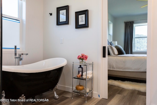 bathroom featuring hardwood / wood-style floors and a bathing tub