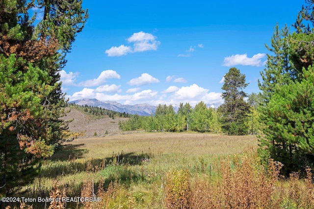 3625 W Highland Trl, Wilson WY, 83014 land for sale