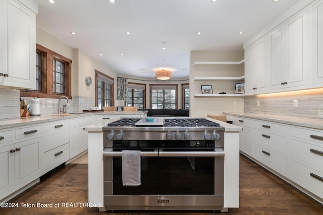 kitchen featuring white cabinets, high end range, and sink