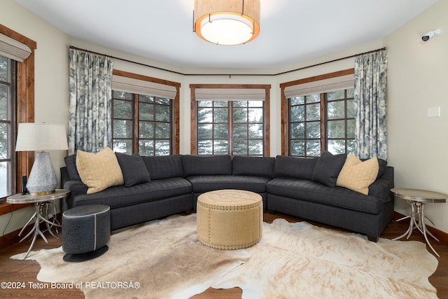 living room featuring wood-type flooring