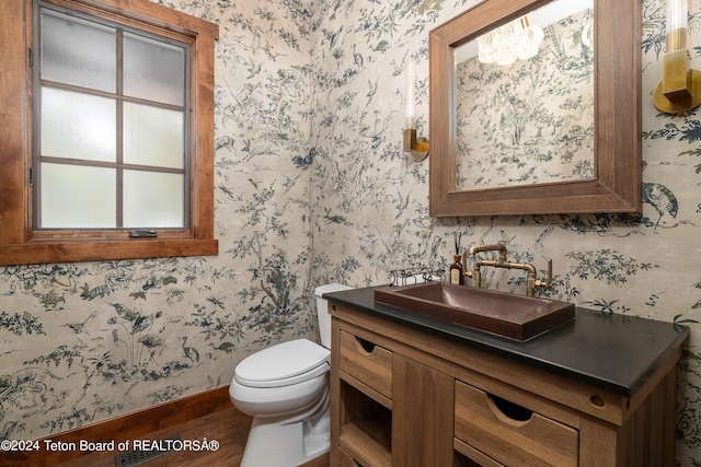 bathroom with wood-type flooring, vanity, and toilet