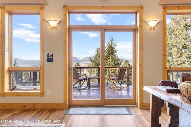 doorway with a mountain view and light hardwood / wood-style flooring