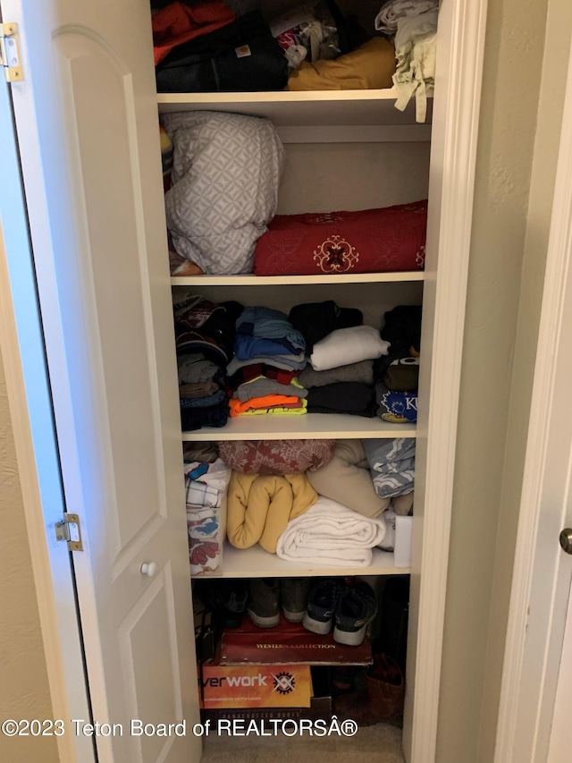 955 Budge Dr Unit 4, Jackson, WY 83001 - view of closet