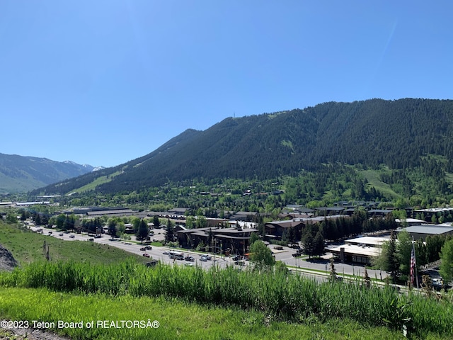 955 Budge Dr Unit 4, Jackson, WY 83001 - mountain view with a forest