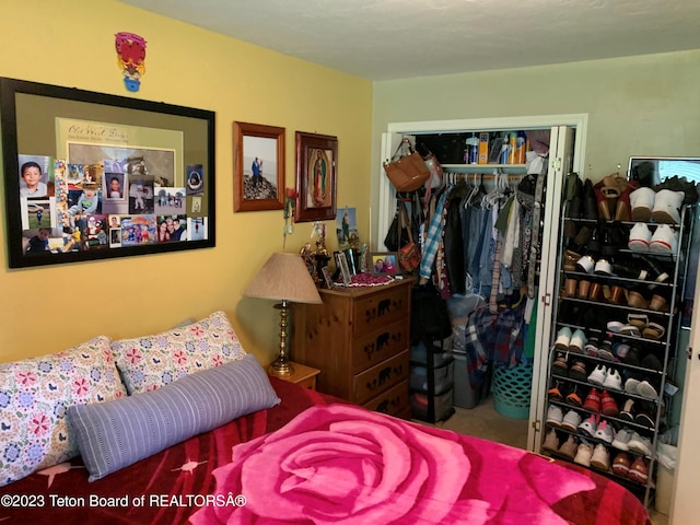 955 Budge Dr Unit 4, Jackson, WY 83001 - bedroom with a closet