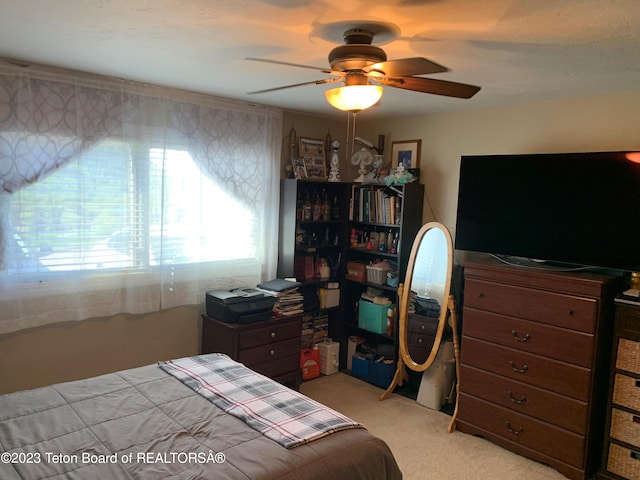 955 Budge Dr Unit 4, Jackson, WY 83001 - bedroom with light colored carpet and a ceiling fan