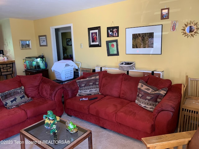 955 Budge Dr Unit 4, Jackson, WY 83001 - view of carpeted living area