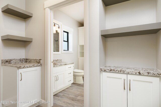 1845 S 5000 W, Driggs, ID 83422 - bathroom with wood finished floors, toilet, and vanity