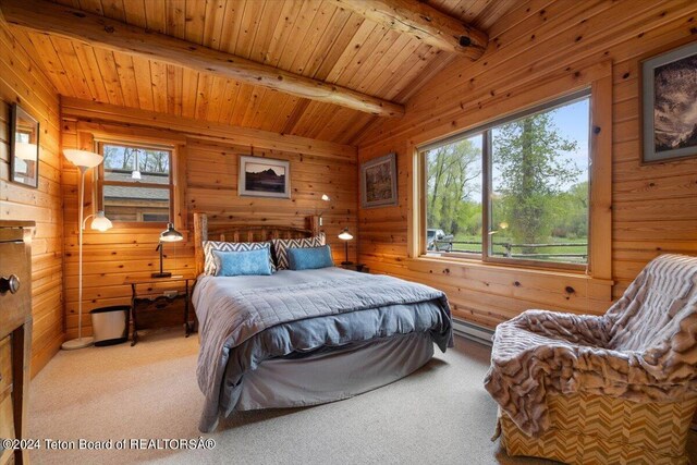 6455 N Snake River Ranch Rd, Wilson, WY 83014 - photo 15