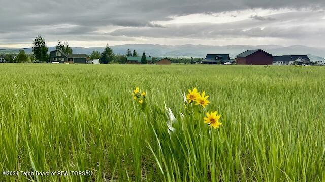 520 Alta Dr, Star Valley Ranch, WY 83127 - photo 15