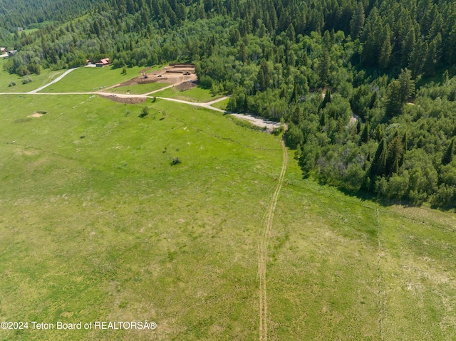Upper Stewart Creek Rd, Etna, WY 83118 - photo 8