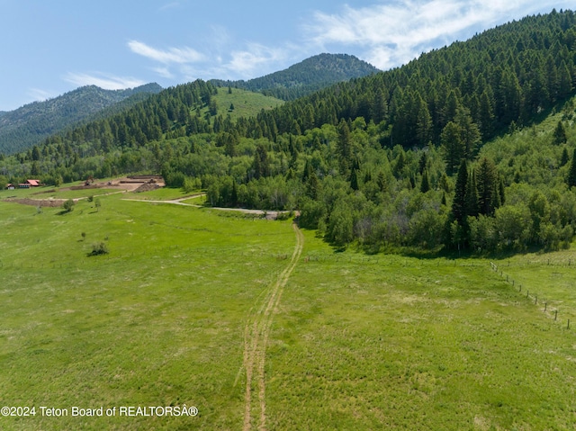 Upper Stewart Creek Rd, Etna, WY 83118 - photo 12