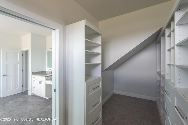 spacious closet featuring sink