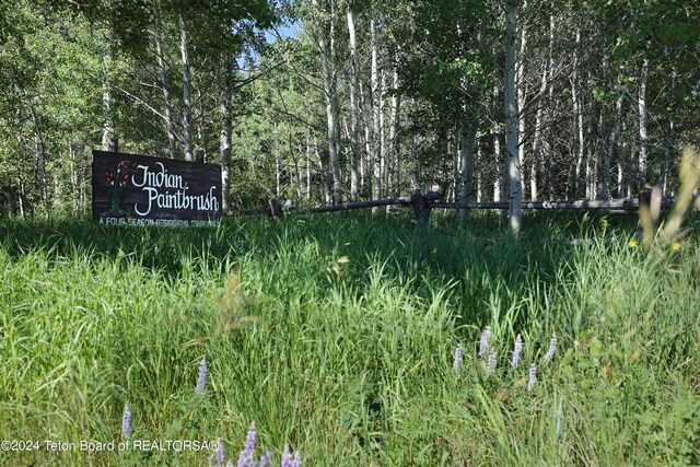 6620 Lupine Trl, Wilson, WY 83014 - photo 10